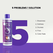Berina Silver Pro Shampoo (250 ml)