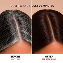 A3 Red Brown