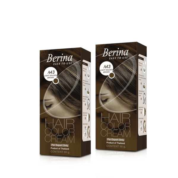 Berina Professional | Permanent Hair Color Cream | 60gm  Long Lasting Color (Pack of 2)